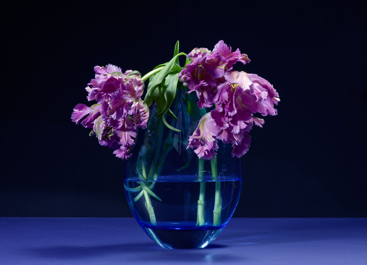 Florale Impressionen, Bild Nr. 3