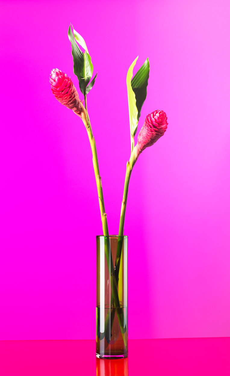 Florale Impressionen, Bild Nr. 4