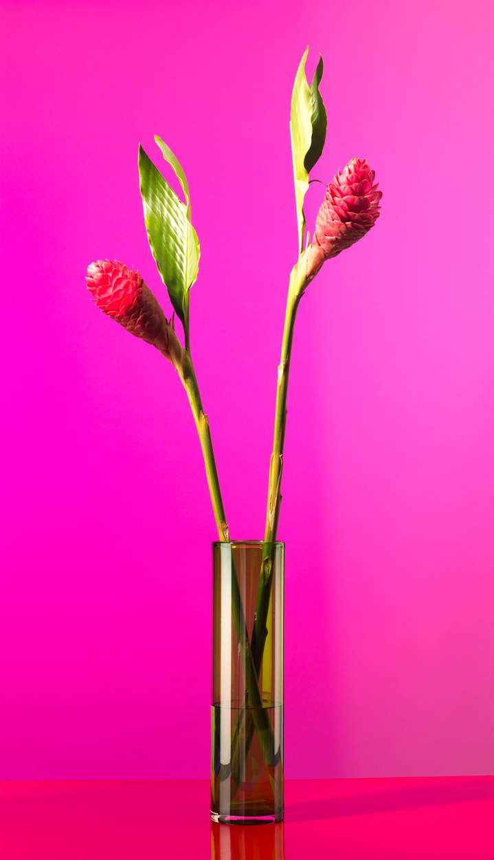 Florale Impressionen, Bild Nr. 5