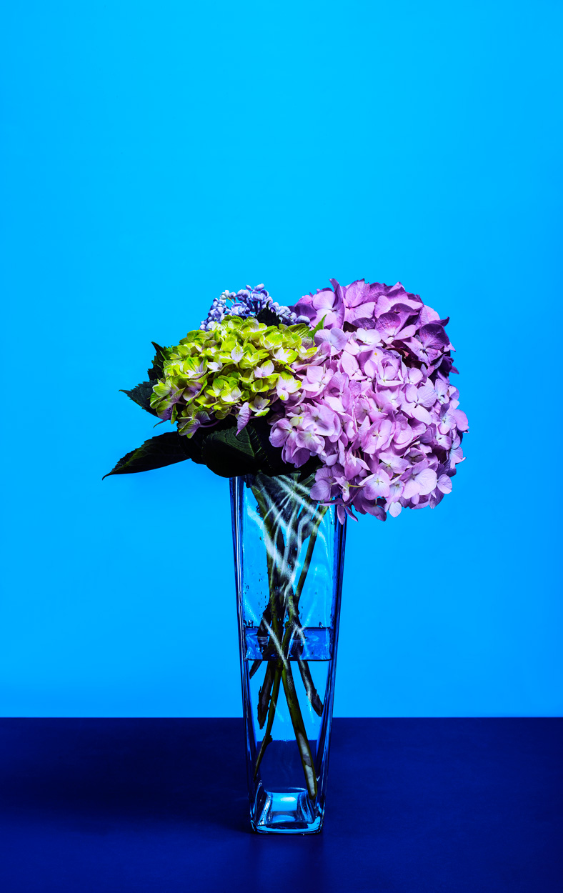 Florale Impressionen, Bild Nr. 8