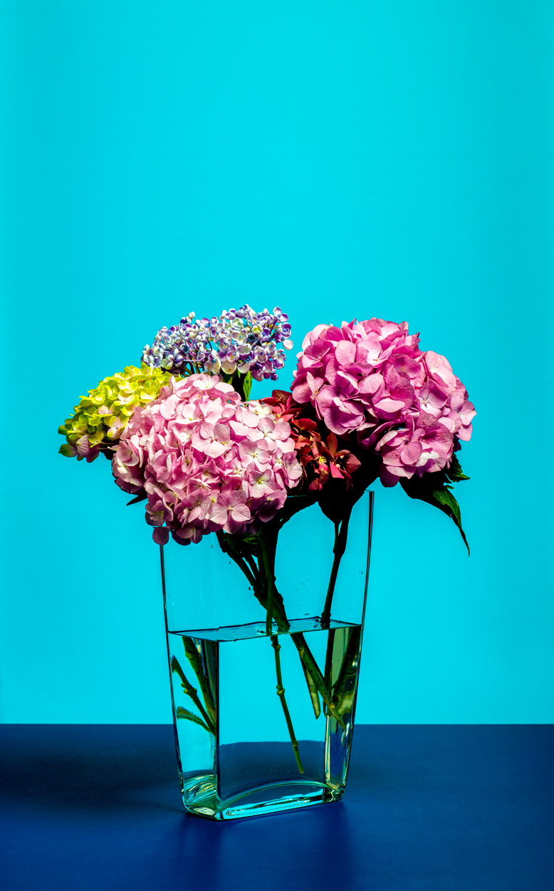 Florale Impressionen, Bild Nr. 9