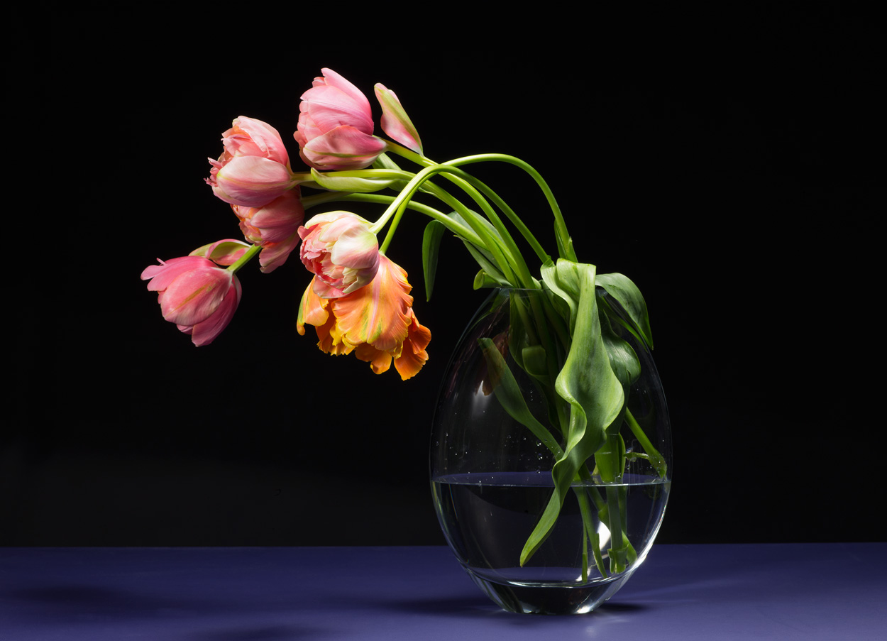 Florale Impressionen, Bild Nr. 14