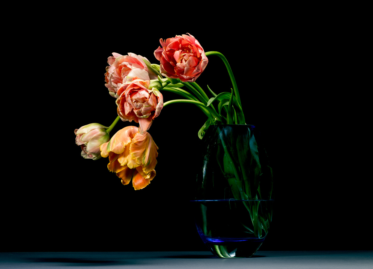 Florale Impressionen, Bild Nr. 15