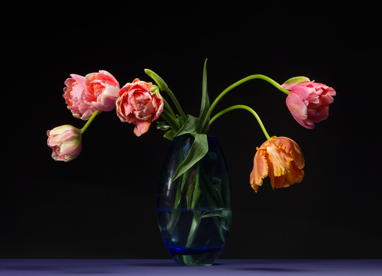 Florale Impressionen, Bild Nr. 16