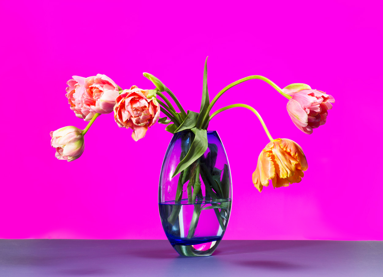Florale Impressionen, Bild Nr. 17