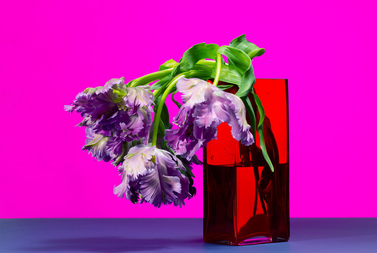 Florale Impressionen, Bild Nr. 18