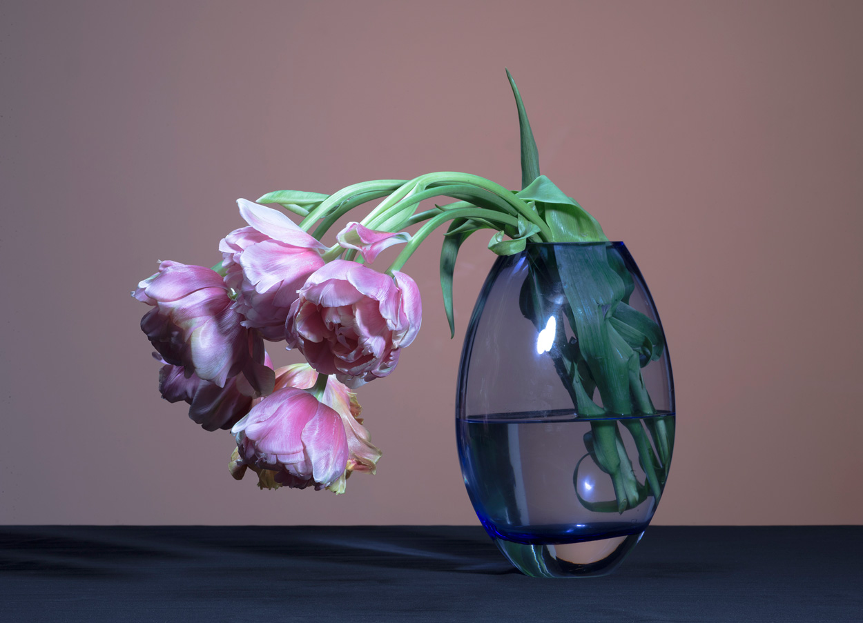 Florale Impressionen, Bild Nr. 19