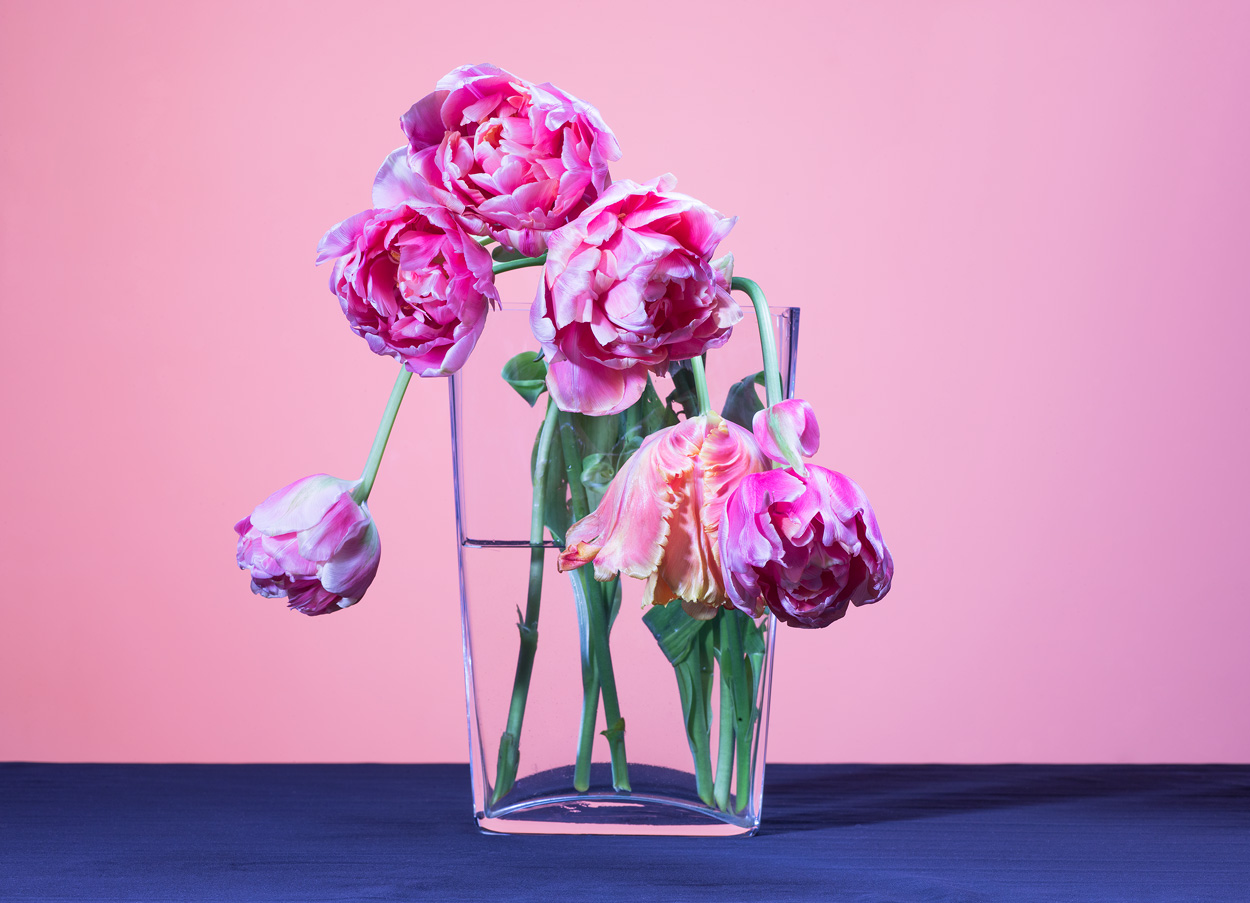 Florale Impressionen, Bild Nr. 20
