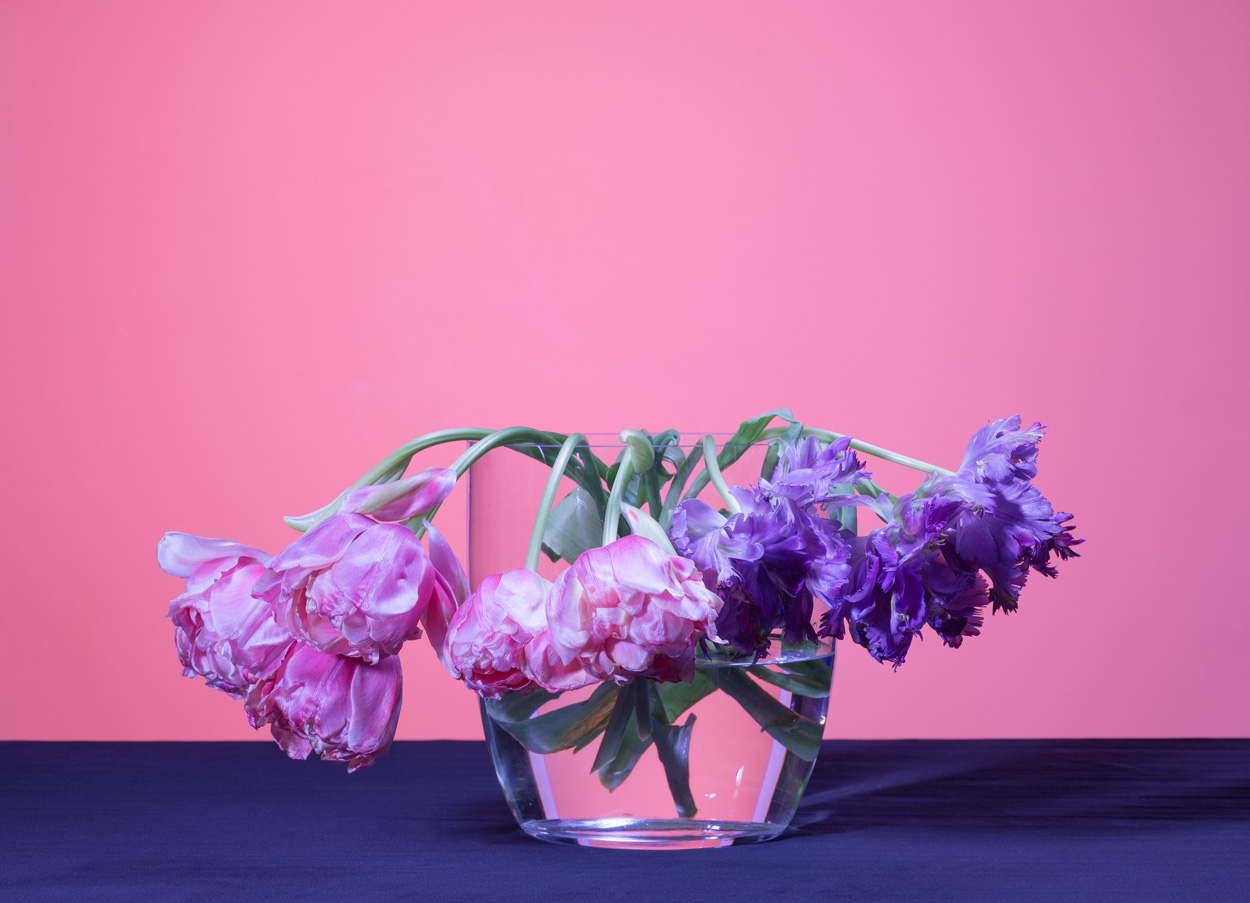 Florale Impressionen, Bild Nr. 21
