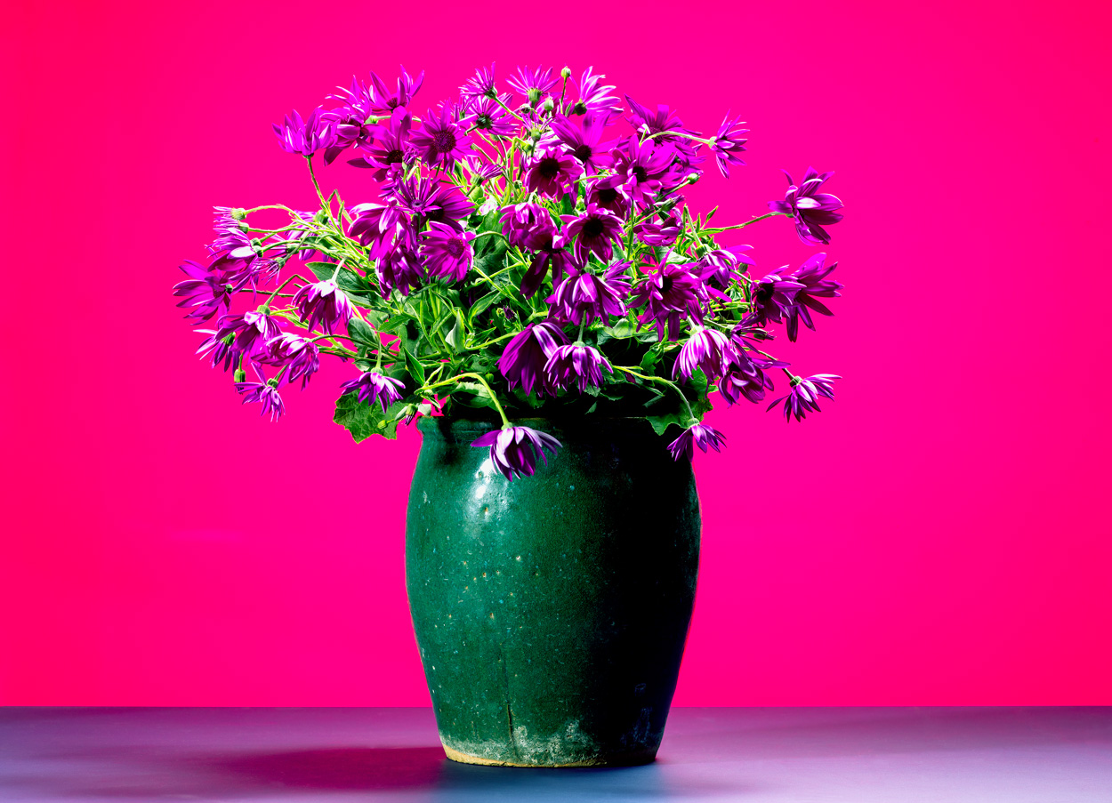 Florale Impressionen, Bild Nr. 22