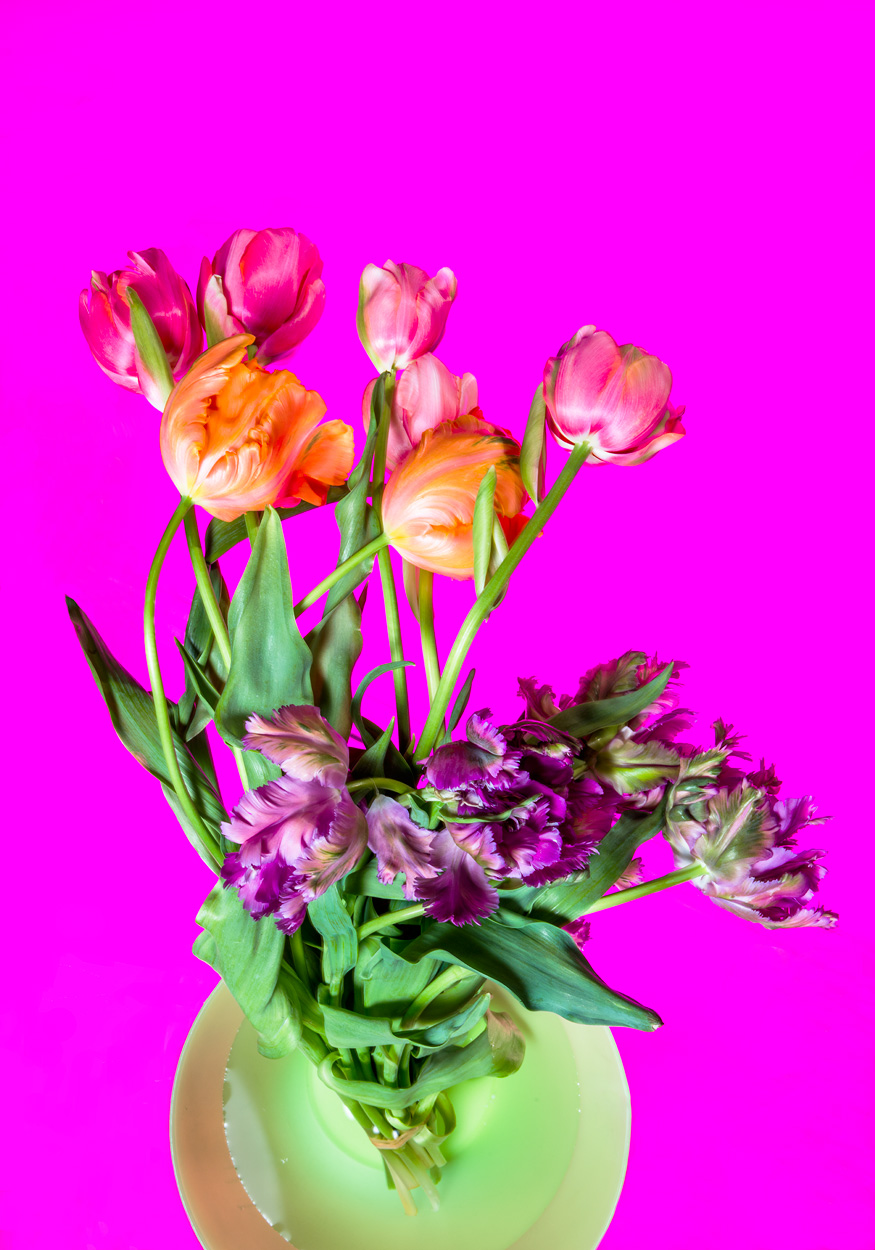 Florale Impressionen, Bild Nr. 1