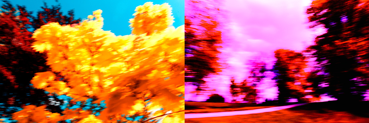 Im Park, Bild Nr. 5