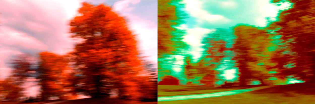 Im Park, Bild Nr. 6