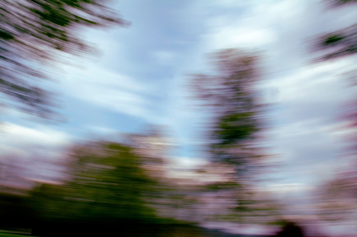 Im Park, Bild Nr. 9