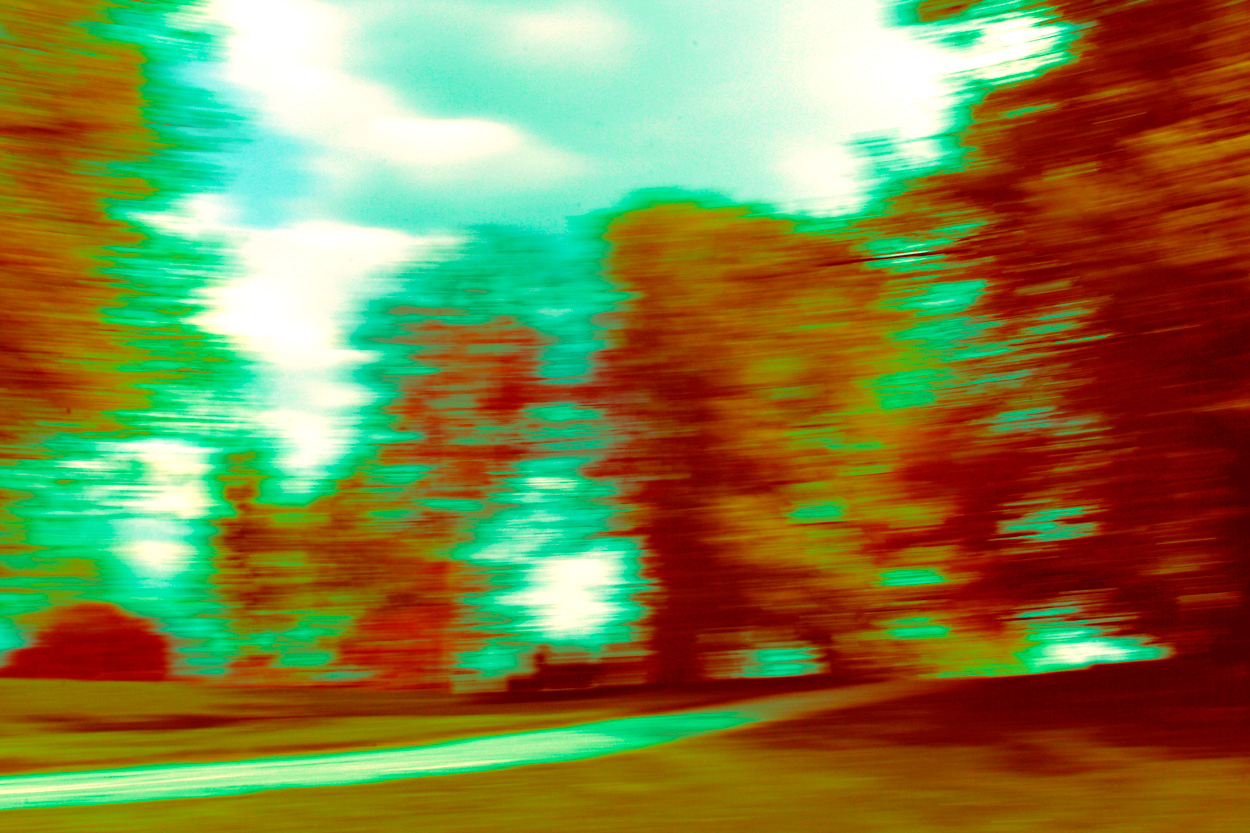 Im Park, Bild Nr. 12