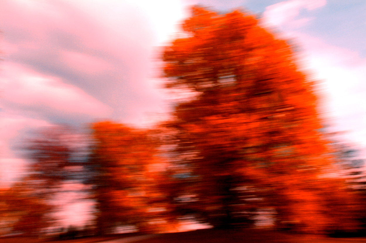 Im Park, Bild Nr. 13