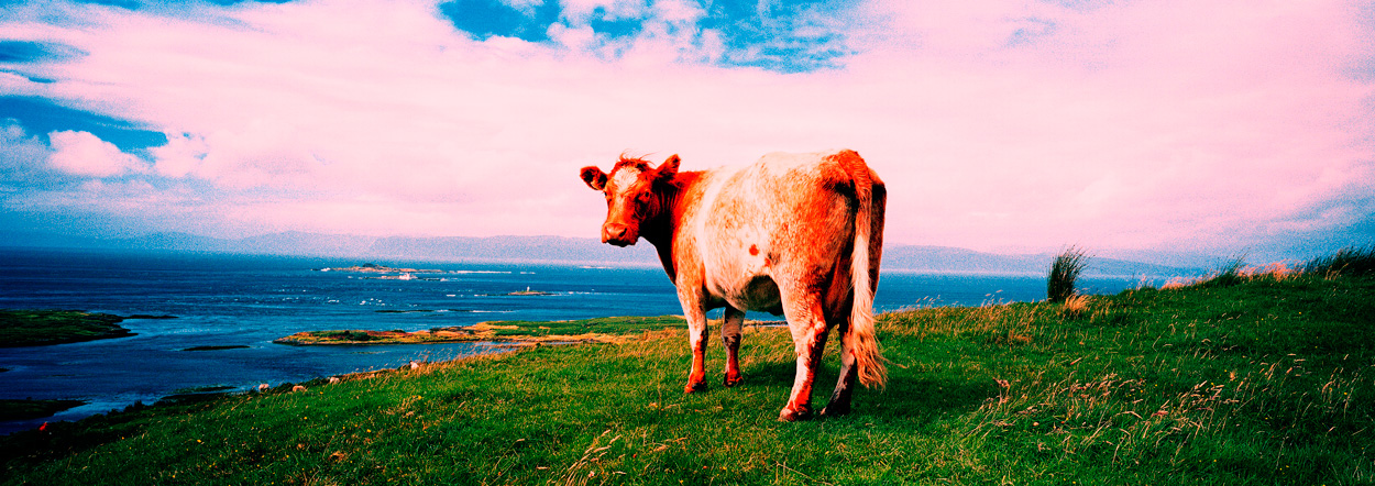Schottland, Bild Nr. 7